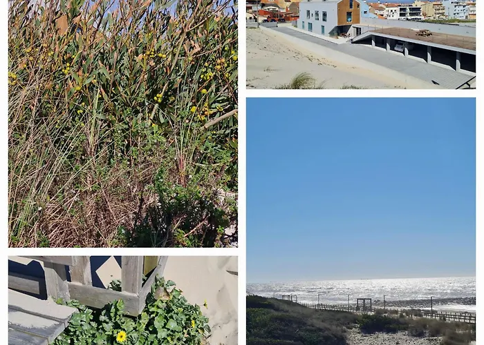 住宿加早餐酒店 Vermar 托雷拉